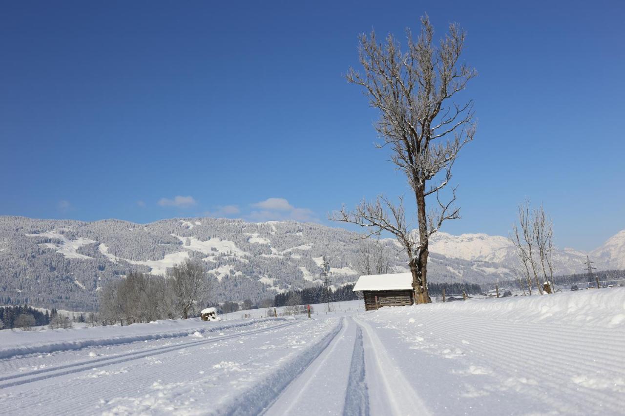 Gartenwohnung Robinigg Maishofen Dış mekan fotoğraf