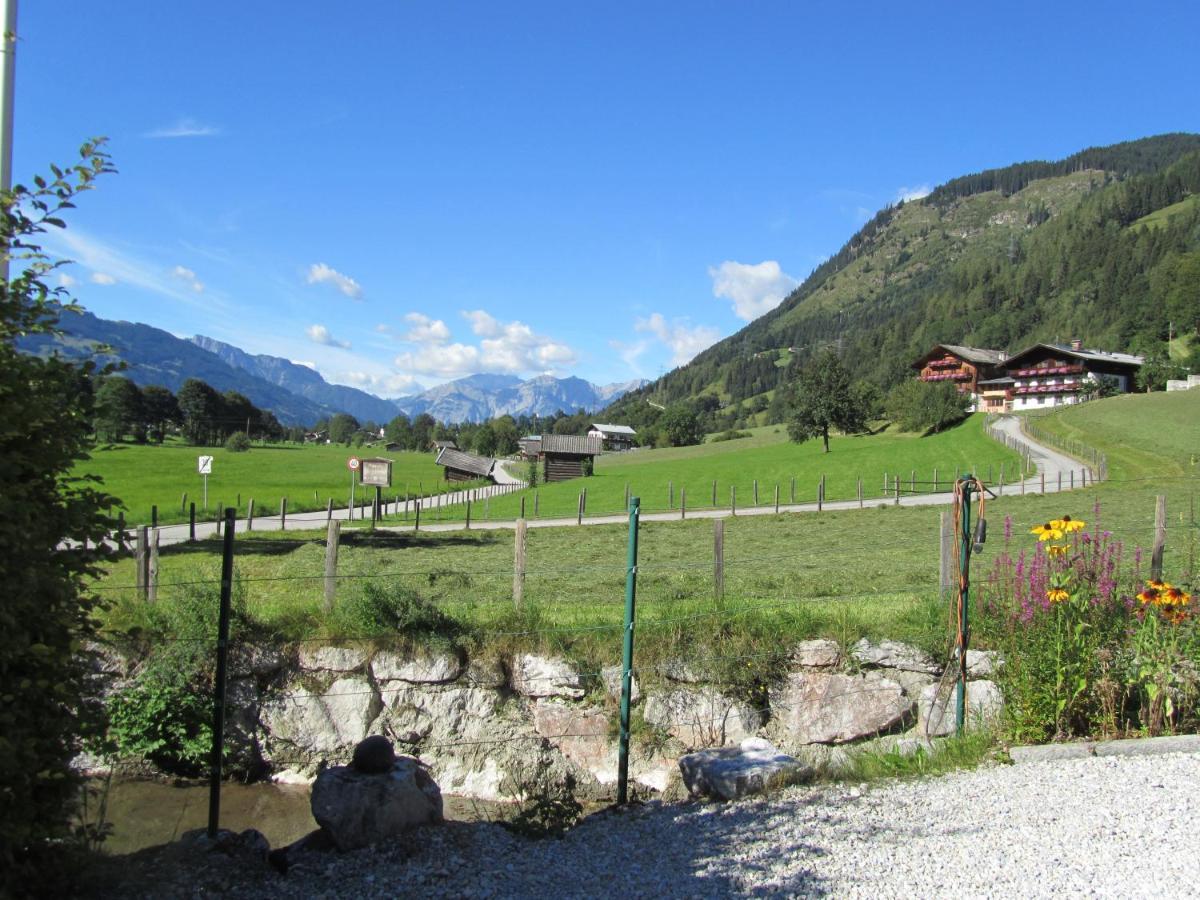 Gartenwohnung Robinigg Maishofen Dış mekan fotoğraf